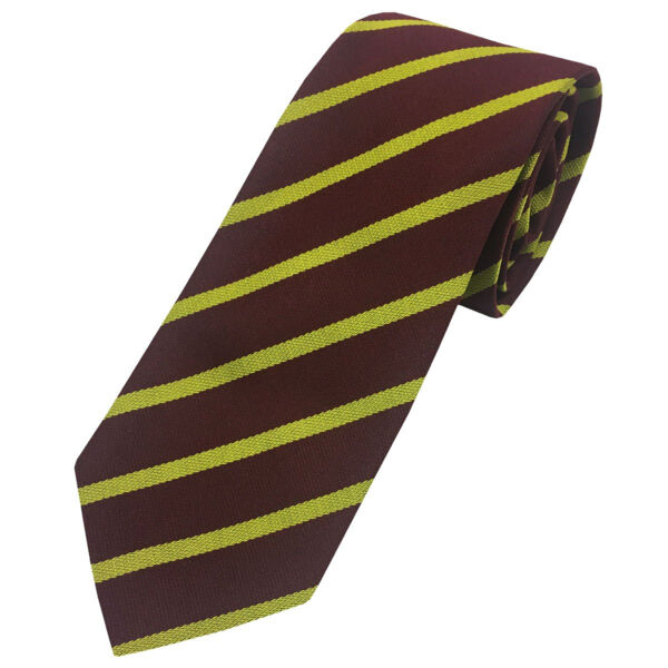 James Gillespies Primary School Tie Thumbnail